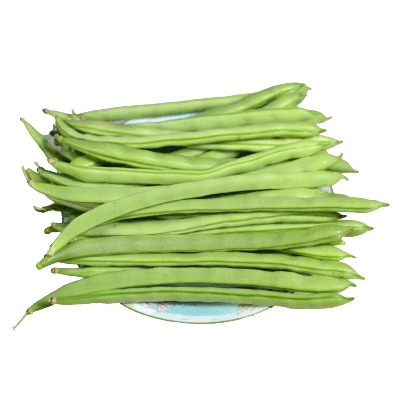 云南新鲜现摘四季豆当季时令蔬菜