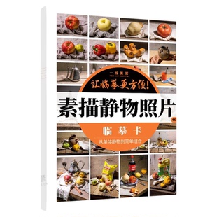 素描静物照片临摹卡16开写生卡组合静物48页实物教材高清临摹画册现场实拍美术生对临用艺考图片卡片对画陶罐衬布水果场景生活用品