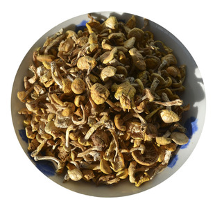 东北野生小黄蘑菇野山菌珍油蘑松蘑菇干货蘑菇丁土特产包邮