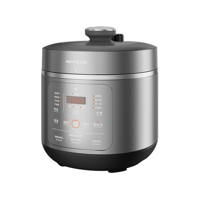 九阳5L不锈钢家用大容量