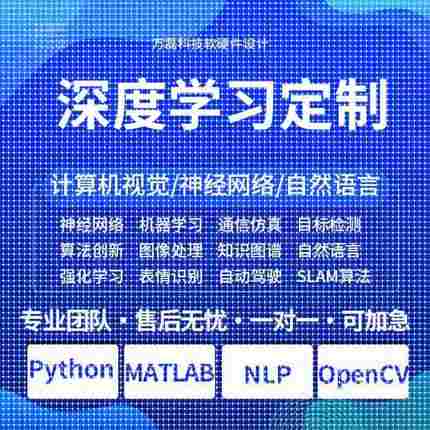 python图像识别c++接单深度学习代做matlab程序代程式设计c#算法