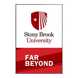 SBU挂画纽约州立大学装饰画 卧室办公 现代简约 卧室客厅 背景墙