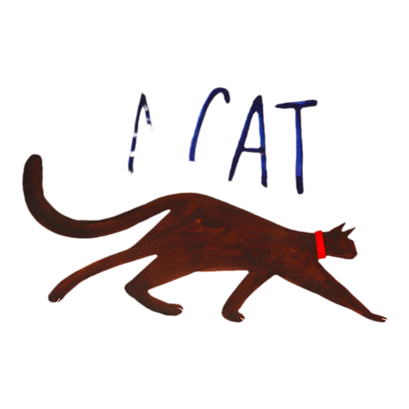 他们都看见了一只猫 英文原版绘本 They All Saw a Cat  2017年凯迪克奖绘本 儿童睡前图画故事书 亲子共读 Brendan Wenzel