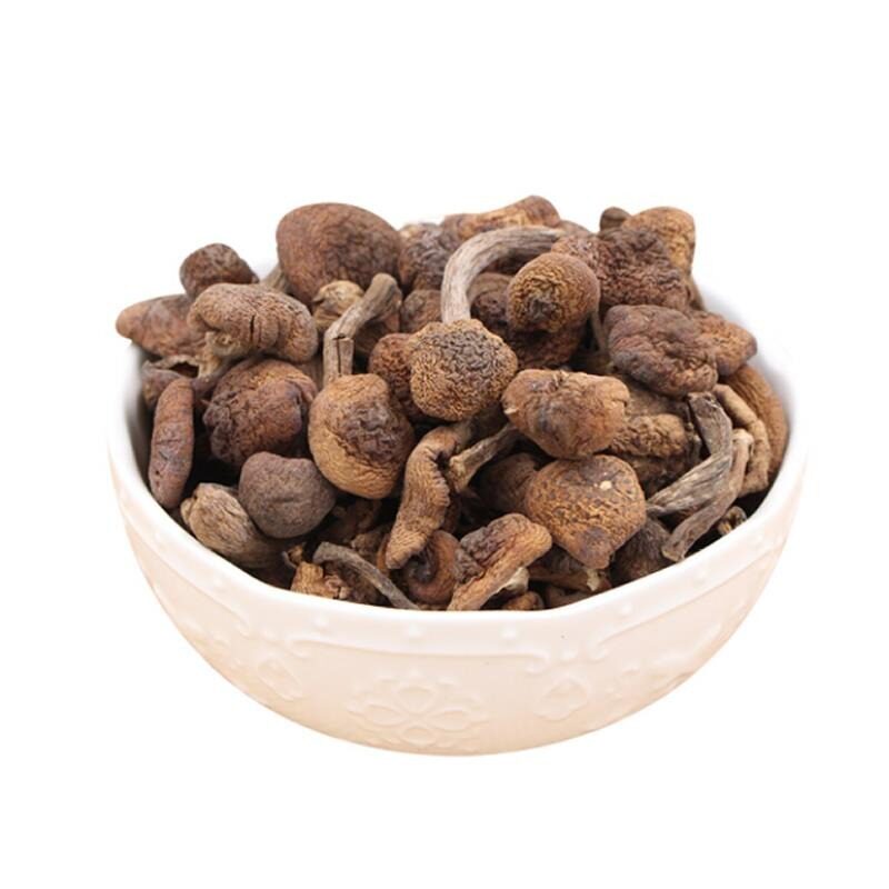 东北特产野生榛蘑小鸡500g