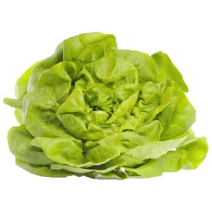 【千牛优福】奶油生菜500g 波士顿生菜 新鲜蔬菜沙拉食材 嫩叶
