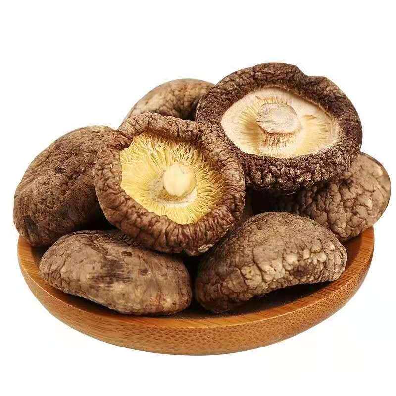 净重香菇新货农家土特产肉厚无根干香菇批发椴木小香菇野生冬菇