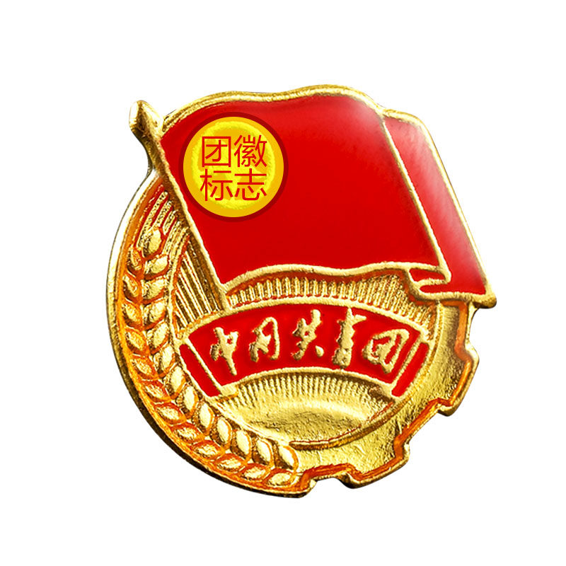 共青团团员徽章员团徽2cm标准款胸针别针式大磁铁扣批发学校中国青年强磁耐用别针款新款蝴蝶扣磁吸款磁扣