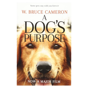 一条狗的使命 英文原版 A Dog's Purpose 布鲁斯卡梅隆 电影原著 平装 当代情感治愈小说 搭黑骏马 野性的呼唤 101件事死前要试试