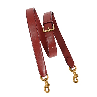 适用于coac朱丽叶25肩带蔻家juliet25内胆包肩带加长带链条配件