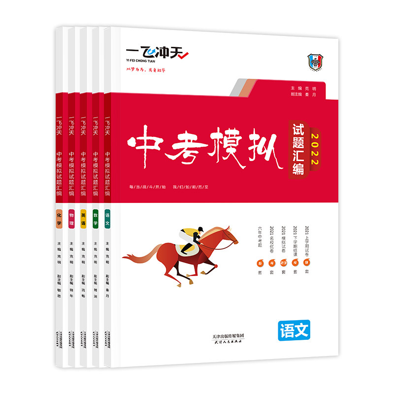 一飞冲天中考模拟试题汇编