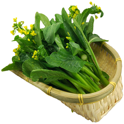 广东四季甜脆菜心菜薹种子