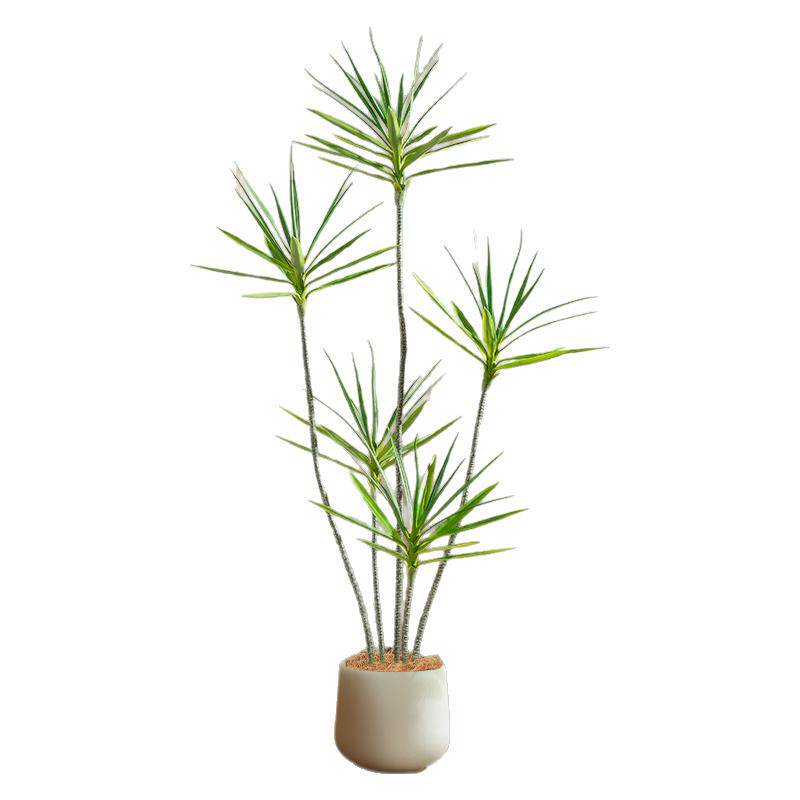 仿真绿植千年木假树仿生龙血树