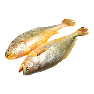 海鼎纪 小黄鱼带鱼鲳鱼礼盒 1.5kg装