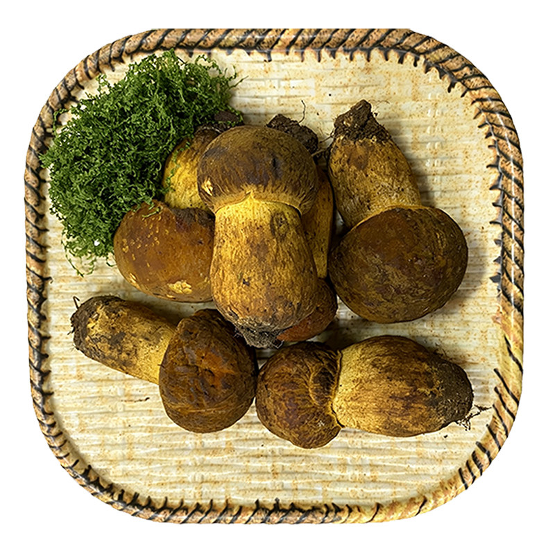云南新鲜野生黄牛肝菌冰冻见手青
