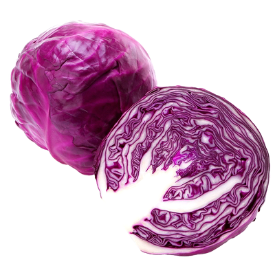 当季紫甘蓝新鲜现采蔬菜