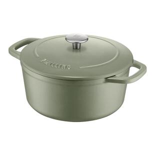 德国双立人珐琅锅24cm铸铁炖锅薄荷绿家用厨房汤锅蒸炖官方旗舰