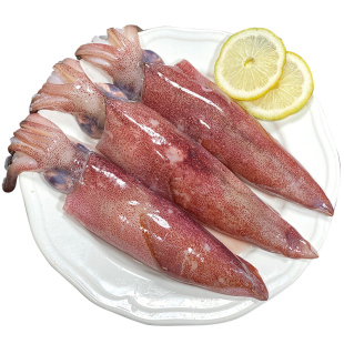 新鲜鱿鱼生鲜舟山海捕冰鲜冷冻冰冻笔管鱿鱼特大小管鱿可以白灼