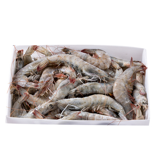 大虾鲜活冷冻超大3040海捕盐冻大虾新鲜速冻水产海鲜厄尔多瓜白虾