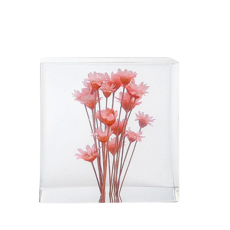 永生花玫瑰雏菊植物立方体蒲公英