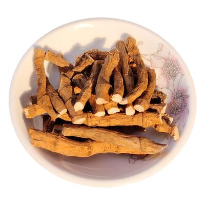 广西三百草过塘藕天性草三白草