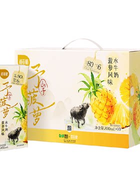 菠萝风味乳水牛奶