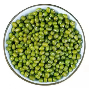 【净重5斤】东北绿豆净重批发农家可发芽绿豆新鲜绿豆汤豆芽商用