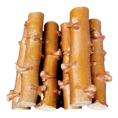 黄心木薯种子苗广西木薯华南9号