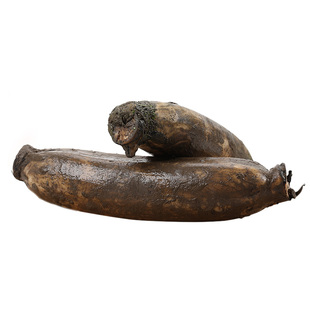 湖北嘉鱼野莲藕新鲜九孔粉藕食材煲汤现挖带泥巴炖汤野藕非洪湖