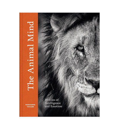 【预售】动物心灵：智力和情感剖析 Animal Mind: Profiles Of Intelligence And Emotion 原版英文社会科学 正版进口书
