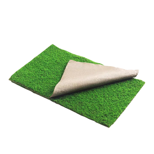 青苔藓新鲜活假山微造景观绿植短绒永生台藓草皮盆景专用造景摆件