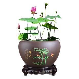 水仙花盆紫砂无孔水养容器铜钱草睡莲碗莲荷花缸特价清仓大号多肉