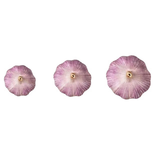 山东金乡原产地直发大蒜当季大蒜头干货炒菜调味辛辣味浓郁