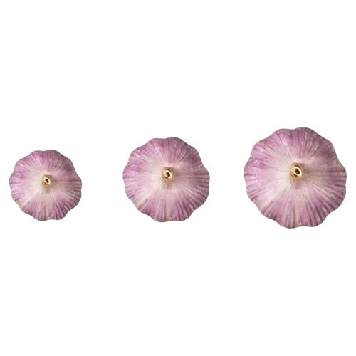 山东金乡原产地直发大蒜当季大蒜头干货炒菜调味辛辣味浓郁