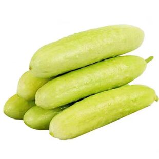 水果白瓜种孑白玉黄瓜白青瓜秧苗盆栽庭院早熟春秋季农家蔬菜种子