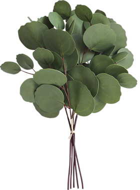 仿真胶片尤加利叶北欧桉树苹果