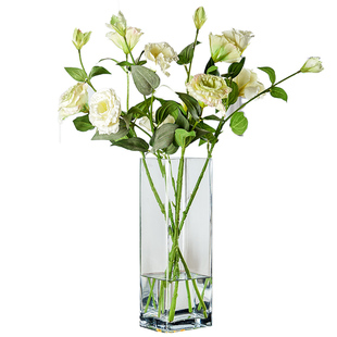 玻璃花瓶摆件客厅透明插花干花方形直筒大号装饰花器水培富贵竹瓶