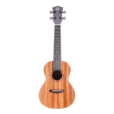 瑞声单板初学者趣弹110尤克里里