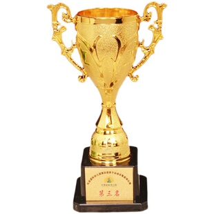 幼儿园儿童塑料奖杯专业定制刻字高档中小学生运动会比赛纪念嘉奖