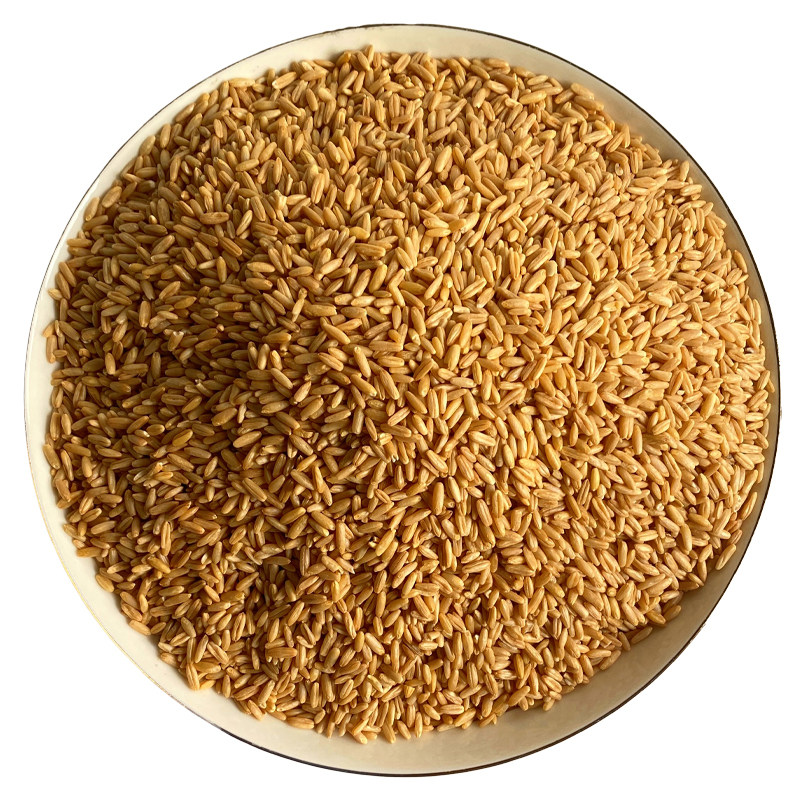 燕麦米鹦鹉粮虎皮牡丹玄凤中大型鹦鹉燕麦鸟食饲料小太阳和尚鸟粮