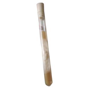 平菇一级试管母种 早优黑平双抗等多品种可选多种温型食用菌菌种