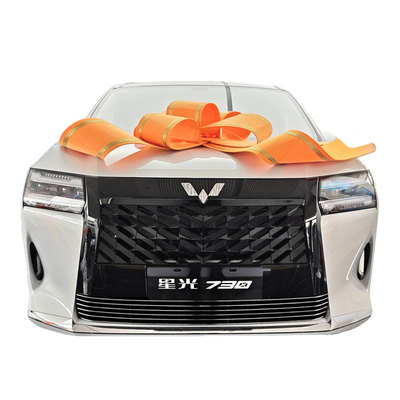 五菱星光730大蜘蛛中网套件