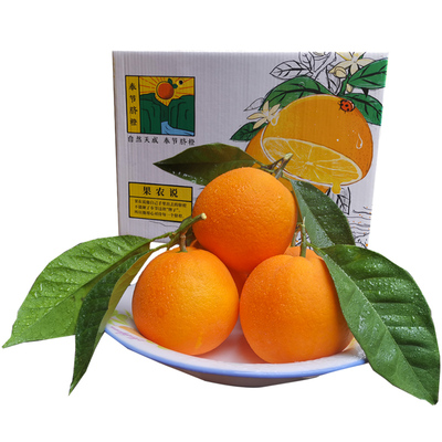 正宗奉节脐橙纽荷尔新鲜现摘橙子