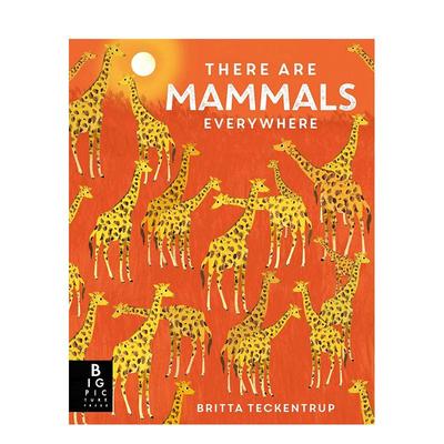 【现货】英文原版 随处可见的哺乳类动物 There are Mammals Everywhere 精装艺术插画绘本 自然知识科普 6岁以上 进口儿童图书