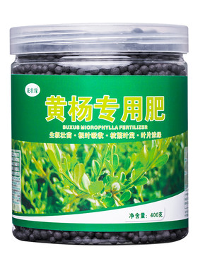 黄杨专用肥料盆景营养肥改善黄叶