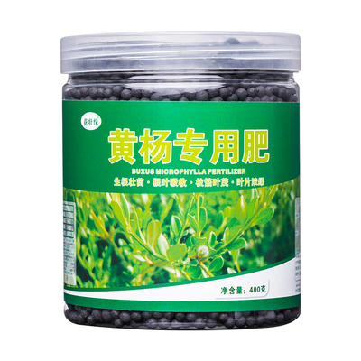 黄杨专用肥料盆景营养肥改善黄叶