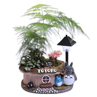 发财树桌面小盆栽植物微型盆景小摆件微景观室内客厅喜阴植物盆栽