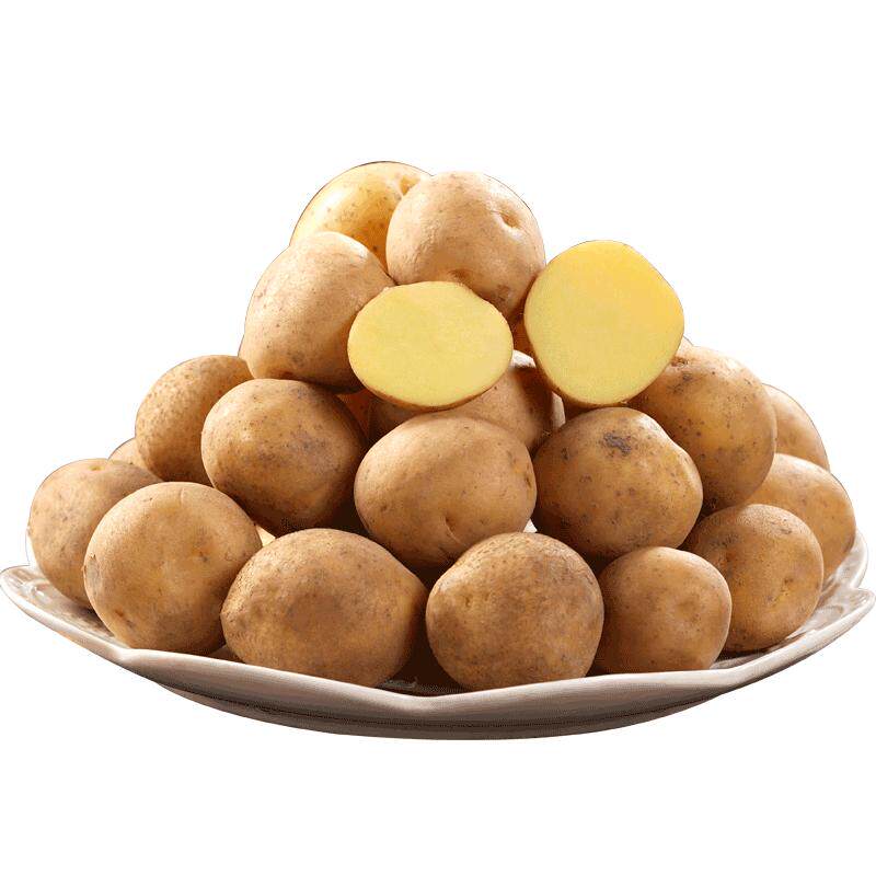 恩施黄心新鲜小土豆产地直供