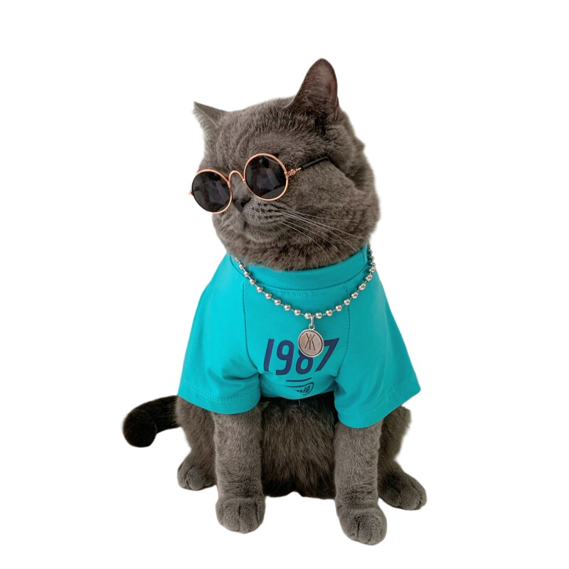 韩国ins宠物狗狗猫咪衣服服装夏季薄款防掉毛英短蓝猫可爱夏装