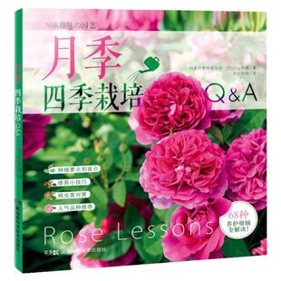 月季四季栽培  详解月季的68种常见养护难题 月季种植书 养花书籍种花大全 新手 园艺书籍 栽培入门庭院盆栽室外小山内健