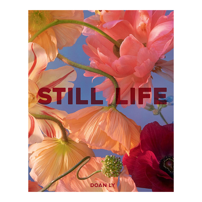 静物DoanLyStillLife